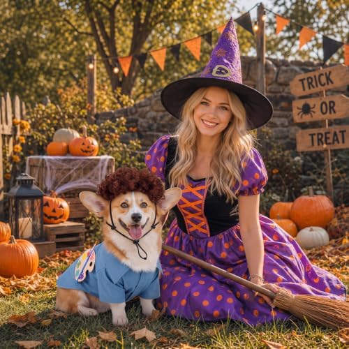 Dansydaisy 4 Pcs Halloween Dog Costume, Puppy 80s Painter Artist Outfit, M - Image 5