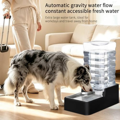 RIZZARI 2.64Gallon Automatic Dog Water Dispenser for Dog: No Filter