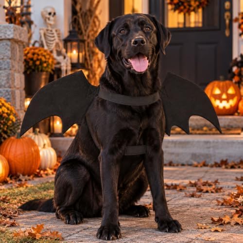 Rypet Dog Bat Wings Costume L, Dog Bat Costume for Halloween Cosplay Party - Image 3