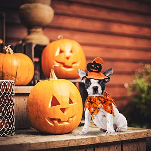 EXPAWLORER Dog Halloween Costumes,Dog Collar and Wizard's Pumpkin Hat Set - Image 7