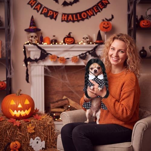 Hercicy 2 Pcs Dog Halloween Costumes Gothic Dress with Dog Wig, S - Image 6
