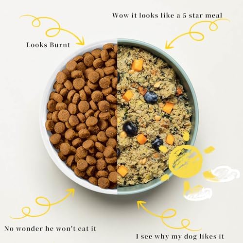 Pet Fresh Food Maker – All-in-One Dog & Cat Food Multicooker with Chopping & Cooking, DIY Cat Churru,Dog Treat Maker,5-in-1 Machine
