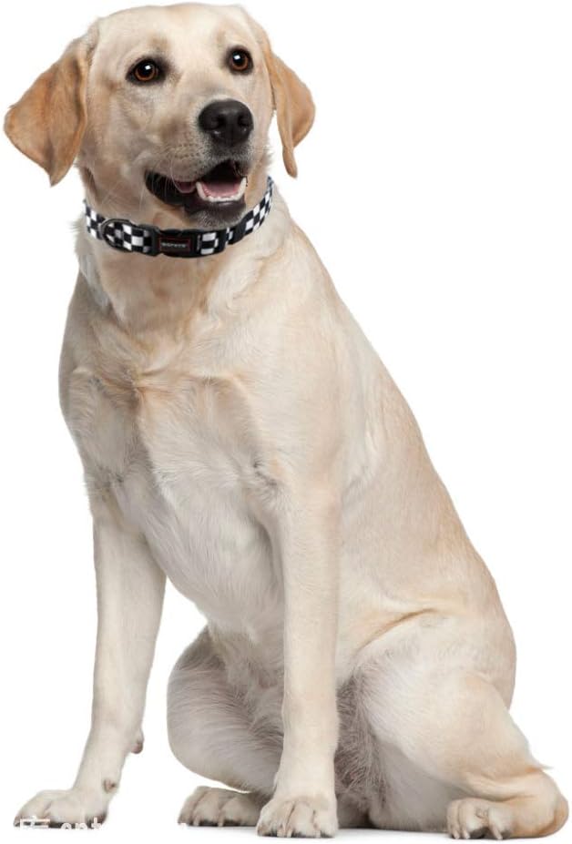 QQPETS Adjustable Soft Dog Collar: Print Flower Pink Multicolor Cute Patterns for XS Small Medium Large Pet Girl Boy Puppy Walking Running Training (L, Plaid)