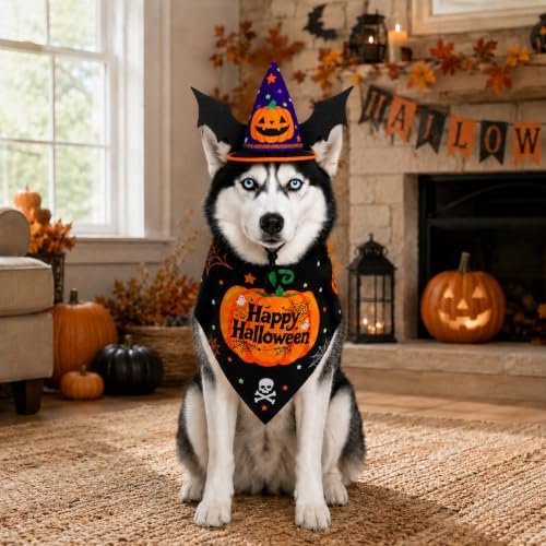 2 Pcs Halloween Pet Hat Bandana Set, Witch Pumpkin Costumes for Dogs - Image 4