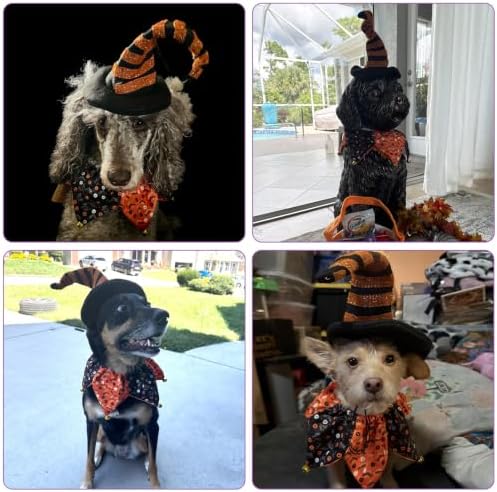 PAWCHIE Dog Halloween Costume,Halloween Collar Hat Set Pets Puppy Cat Halloween Outfit Apparel Cosplay, Dog Collar with Bells and Funny Hat Accessories Decoration for Small Medium Dogs 2 Pcs, Orange - Image 6