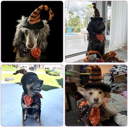 PAWCHIE Dog Halloween Costume,Halloween Collar Hat Set Pets Puppy Cat Halloween Outfit Apparel Cosplay, Dog Collar with Bells and Funny Hat Accessories Decoration for Small Medium Dogs 2 Pcs, Orange - Image 6