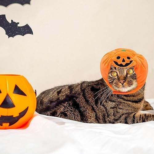 ALIBBON Cat & Dog Halloween Costume - Pumpkin Headdress & Cap for Puppy & Kitty Cosplay - Image 3