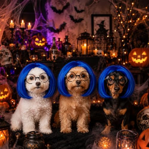 Dansydaisy 2 Pcs Halloween Sad Dog Costume Set Blue Bob Wig Round Glasses - Image 5