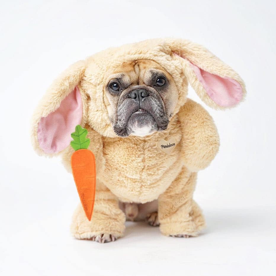 Pandaloon Dog Halloween Costume - As Seen on Shark Tank - Patented - Funny Costume with Arms for Small and Medium Dogs and Cats (Bunny, Size 5(24-28 in Height at TOP of Head,Girth<30 in)) by Pandaloon