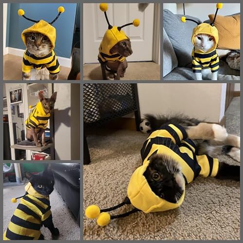Dog Bee Costume Outfit Bumblebee Hoodie for Small Medium Pet Cat Puppy L - Image 6