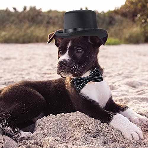 Yewong 2-Piece Pet Formal Accessories Set - Top Hat with Formal Necktie/Bowtie for Dog & Cat (Black, One Size) - Image 6