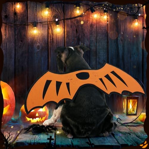 3 Pcs Halloween Costume for Dog Cat, Spider Bat Wings Cape, Orange, S - Image 5
