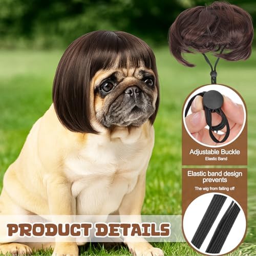 6 Pcs Funny Cat and Dog Wigs with Hairpin Glasses, Classic - Image 4