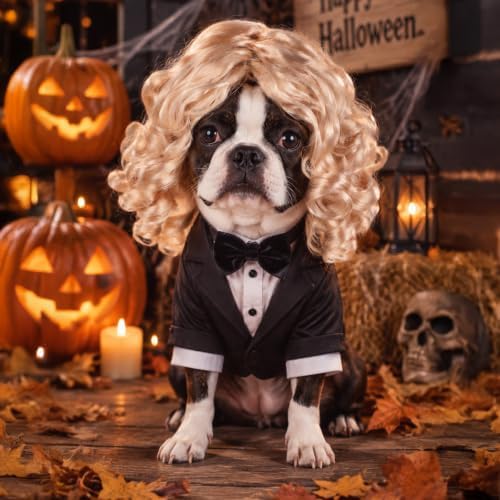 Blonde Wig for Dogs,Halloween Christmas Long Blonde Curly Hair - Image 6