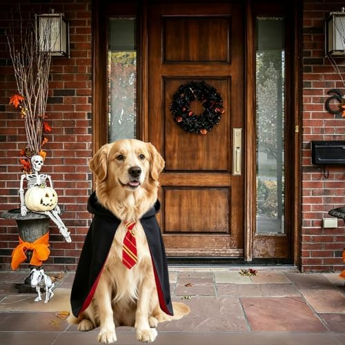 Dog Halloween Costumes, Dog Wizard Costume Wizard Witch Cape Necktie Costume for Small Medium Lage Dogs Pets (Large) - Image 2