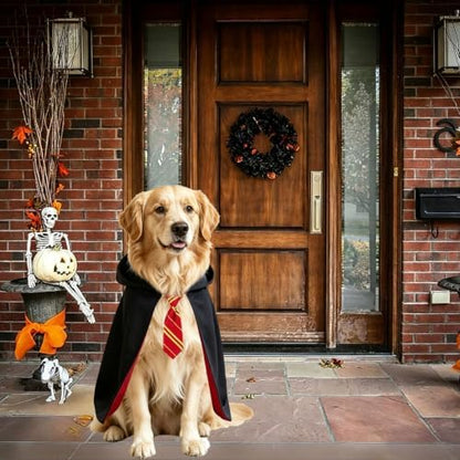 Dog Halloween Costumes, Dog Wizard Costume Wizard Witch Cape Necktie Costume for Small Medium Lage Dogs Pets (Large) - Image 2