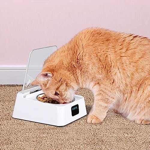 Automatic Open Dog Food Bowls Stress Pet Feeder with Clear Cover Sensing Automatic Feeding Bowls