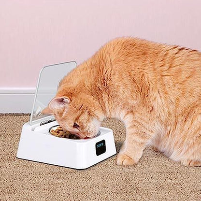 Automatic Open Dog Food Bowls Stress Pet Feeder with Clear Cover Sensing Automatic Feeding Bowls
