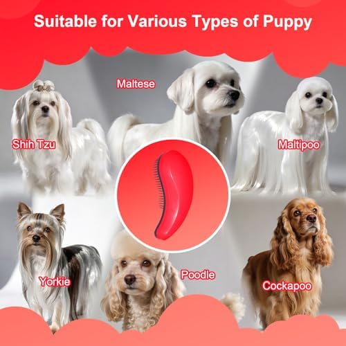 Small Dog Brush, Skin-friendly Soft Bristles (Rose Red) - Image 6