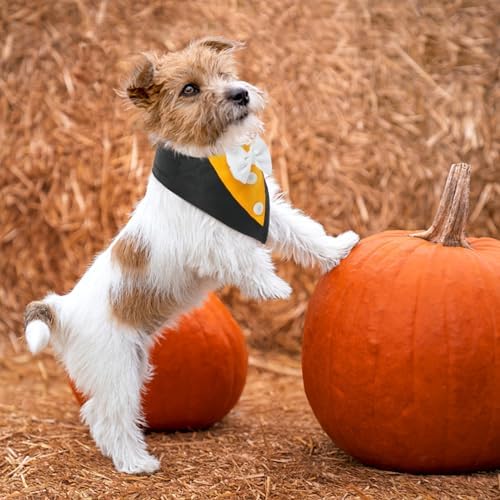 FUAMEY Dog Tuxedo Bandana with Bowtie Fall Halloween Costumes for Dogs - Image 4