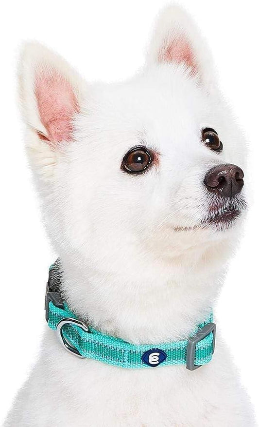 Blueberry Pet Essentials Reflective Adjustable Safety Nylon Dog Collars Medium Size | Reflective Minty Green Dog Collar for Girl and Boy Dogs