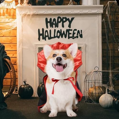 ROSAUI Halloween Pet Vampire Cape – 19.69″ Adjustable Red & Black Costume for Medium Dogs (Beagle, Shiba Inu, French Bulldog) Spooky Outfit with Stand-Up Collar (M Size) - Image 6