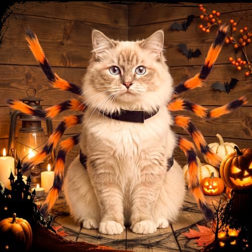 Huhumy Halloween Spider Costume with Safety Harness for Pets, Orange, S - Image 5