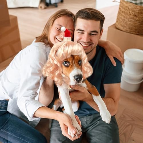 HOWWFALY Dog Costume Long Blonde CurlyWigs with Small Red Christmas Hat StylingCute Funny Pet Costumes AccessoriesDecoration for Halloween, Christmas, Parties - Image 6