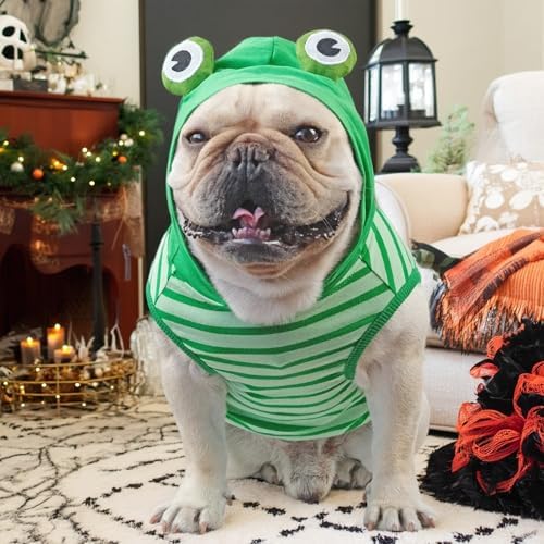 Dog Halloween Costumes Frenchie Clothes Dog Frog Costume - Image 2