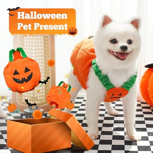PETCARE Funny Pumpkin Dog Halloween Costume Pet Dog Cat Thick Plush Pumpkin Decoration Shirt Clothes for Small Medium Dogs Cats Puppy Cute Halloween Party Cosplay Dress Up Outfits - Image 5