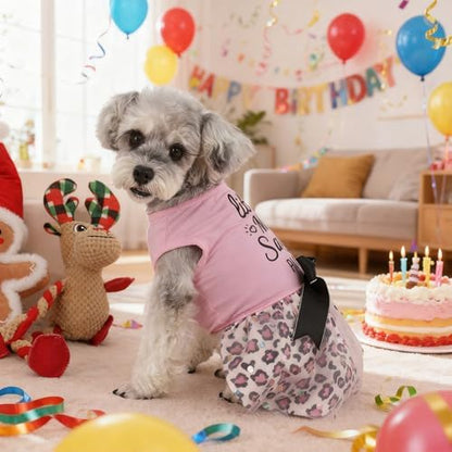 Little Miss Sassy Pants Dog Dress with Leopard Print Bowknot Dog Clothes for Small Medium Large Dogs Girls Boys Cats Outfit Apparel - Image 4