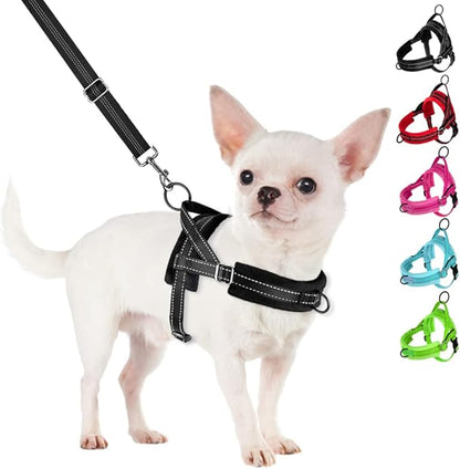 SlowTon No Pull Small Dog Harness and Leash Set, Puppy Soft Vest Harness Neck & Chest Adjustable, Reflective Lightweight Harness & Anti-Twist Pet Lead Combo for Small Medium Dogs (Black, XXS)