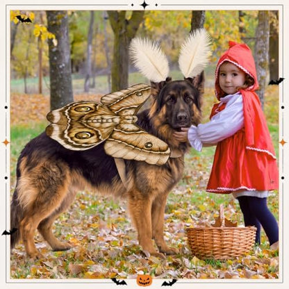 Tallew 2 Pcs Dog Halloween Costumes Moth Butterfly,L,Grayish White - Image 5