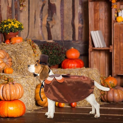 SCENEREAL Thanksgiving Dog Costume, Puppy Bandana Cloak and Hat Set with Pumpkin Maple Leaf Pattern, Funny Pet Holiday Turkey Outfits Clothes for Small Medium Dogs Boys Girls Cats - Image 2