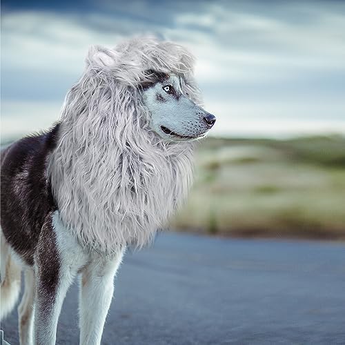 Onmygogo Lion Mane Wig for Dogs with Ears, Funny Pet Costumes for Halloween Christmas - Image 3