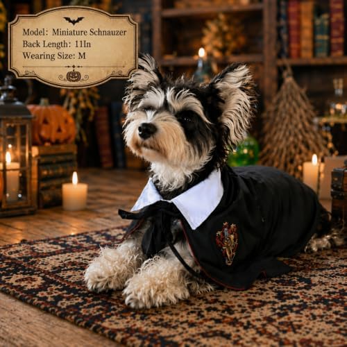 Small Dog Halloween Costumes - Adjustable Dog Wizard Costume,Pet Hooded Cape Glasses Necktie Set,Funny Halloween Costumes for Small Medium Dogs Boy Girl,Black Red Pet Magician Cosplay Outfits - Image 3