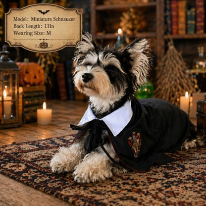 Small Dog Halloween Costumes - Adjustable Dog Wizard Costume,Pet Hooded Cape Glasses Necktie Set,Funny Halloween Costumes for Small Medium Dogs Boy Girl,Black Red Pet Magician Cosplay Outfits - Image 3