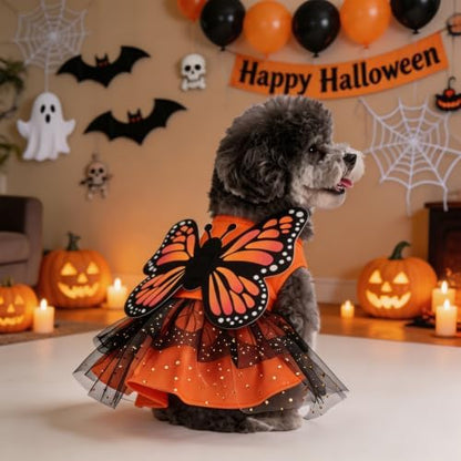 KOOLTAIL Halloween Dog Dress Butterfly Costume Outfit for Small Medium Dogs - Image 2