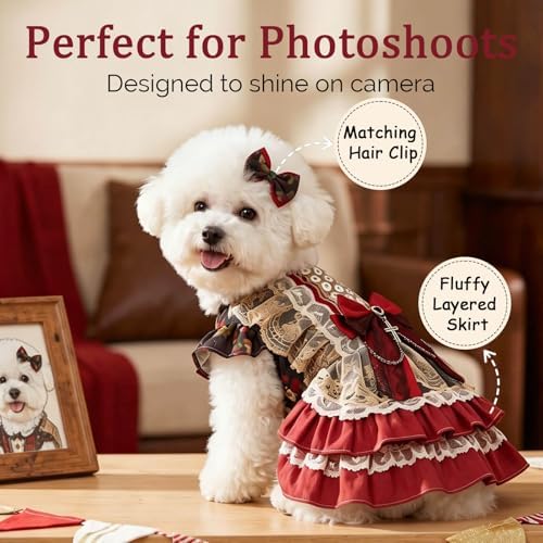 Dog Dress, Vintage Gothic Princess Dog Dress, Multi-Layer Ruffle Skirt with Statement Bow & Pendant Detail, Girl Dog Clothes for Birthday, Wedding, Party, Photoshoot(S) - Image 2