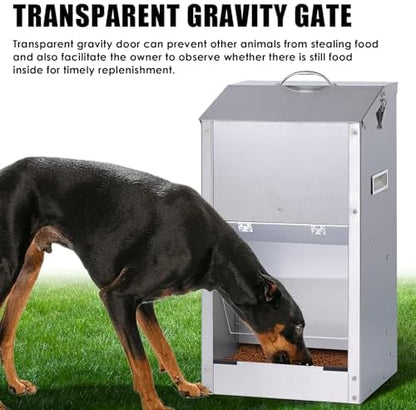 Automatic Dog Feeder Large Breed Outdoor, Stainless Steel Material