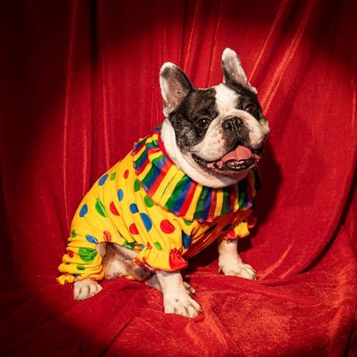 Fitwarm Halloween Dog Clown Costume, Funny Clothes for Small Dogs Girl Boy, Pet Outfit, Yellow, XL - Image 4