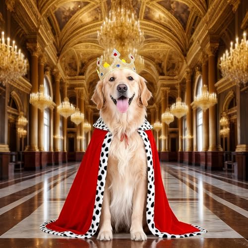 King Dog Costume, Crown & Cape Set, Prince Dog Costume for Large Dogs - Image 7
