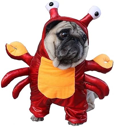 BAMY Halloween Dog Crab Costume,Funny Pet Hoodie,Cosplay Bulldog Apparel,S by BAMY
