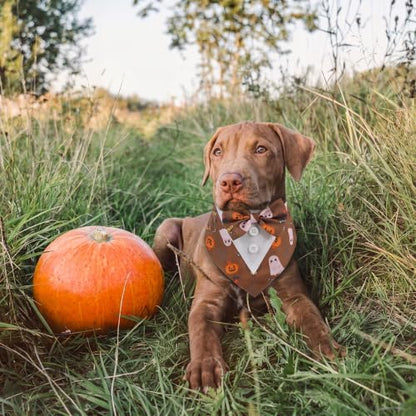 FUAMEY Dog Tuxedo, Funny Halloween Bandana with Bow Tie Large Dog Costume - Image 4
