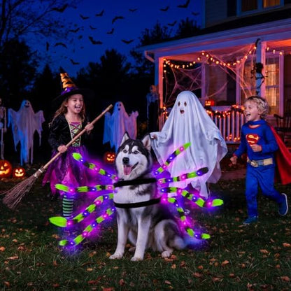 Realistic Halloween Spider Dog Costume for XL Large Dog Cosplay with 64 Led - Image 6