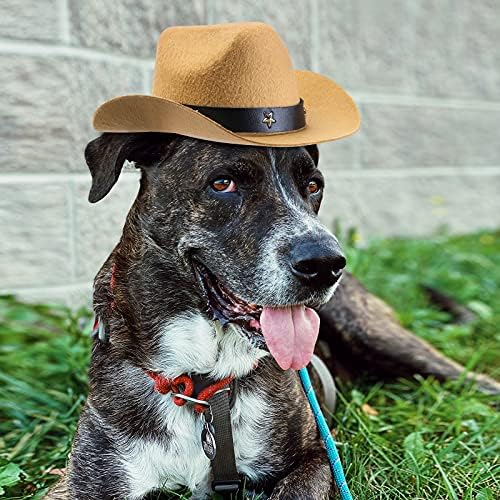 Yewong 3 Pieces Pet Hat Pet Formal Top Hat Mexico Sombrero Hat Cowboy Hat Dog Cat Pet Costume Hat for Halloween Party Photo Props Supplies one Size - Image 4