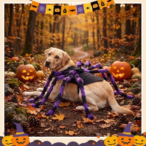 Huhumy Halloween Spider Costume with Safety Harness for Pets, Purple, L - Image 3