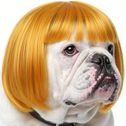 Dog Wig Costume with Adjustable Elastic Band for Small, Medium, Large Pets by Fishboy