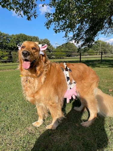 Midlee Cow Headband & Udder Dog Halloween Costume - Image 4
