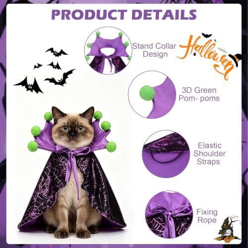EXPAWLORER Halloween Witch Costume for Cat & Small Medium Dog - Image 3